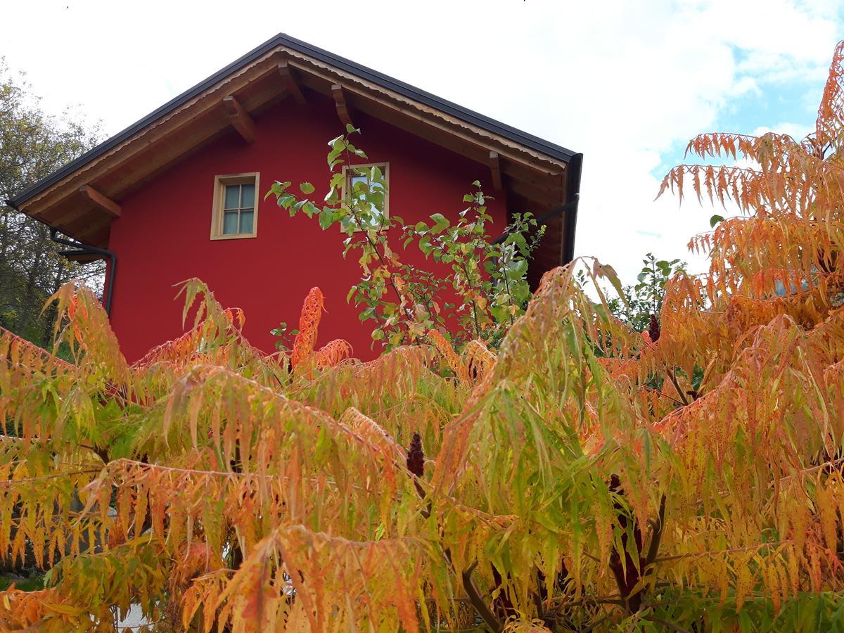 Activity Appartamento Vacanze Spormaggiore Exterior foto